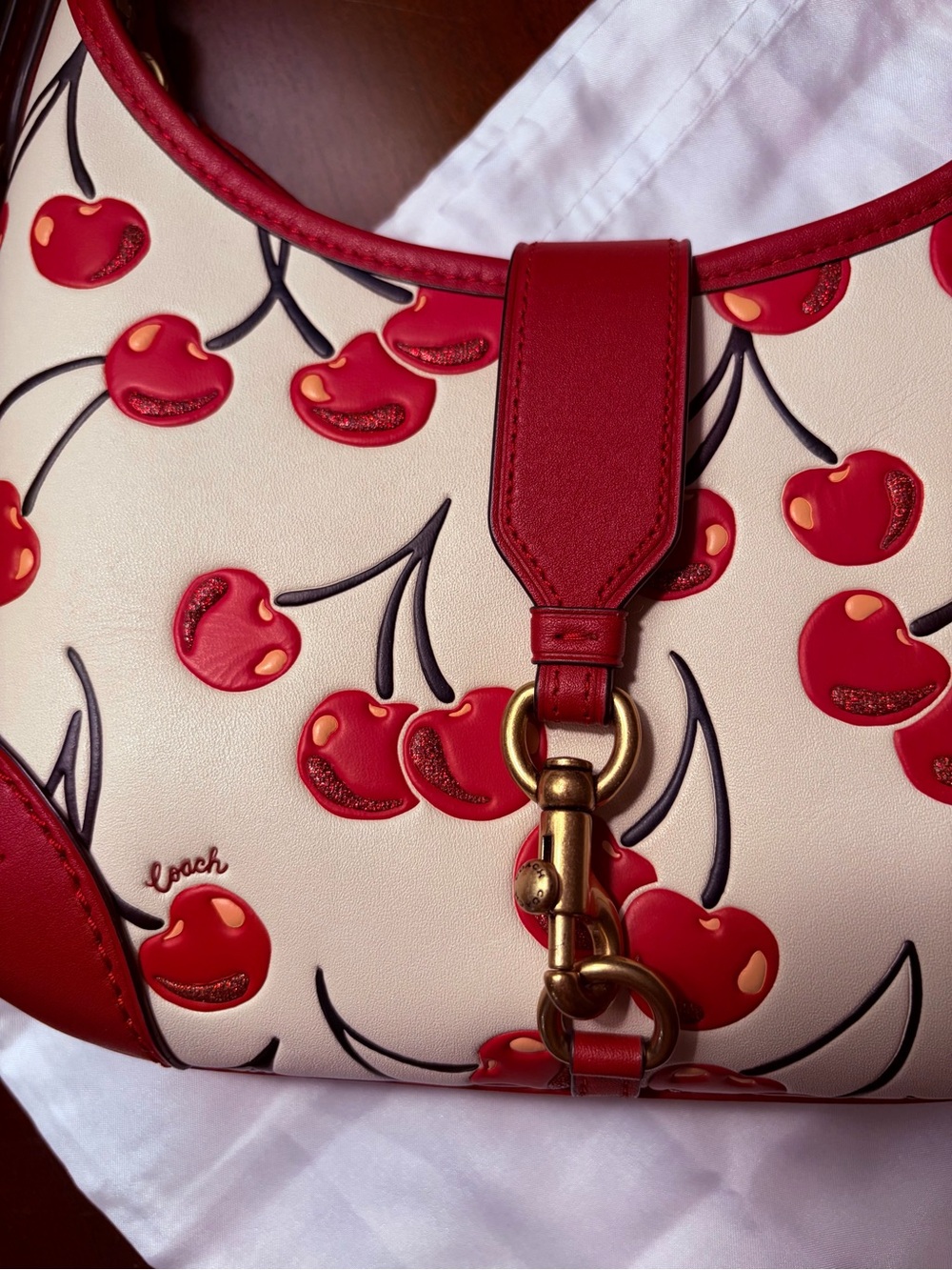 Coach Cherry Print Hampton Hobo Bag - Picture 6 of 14